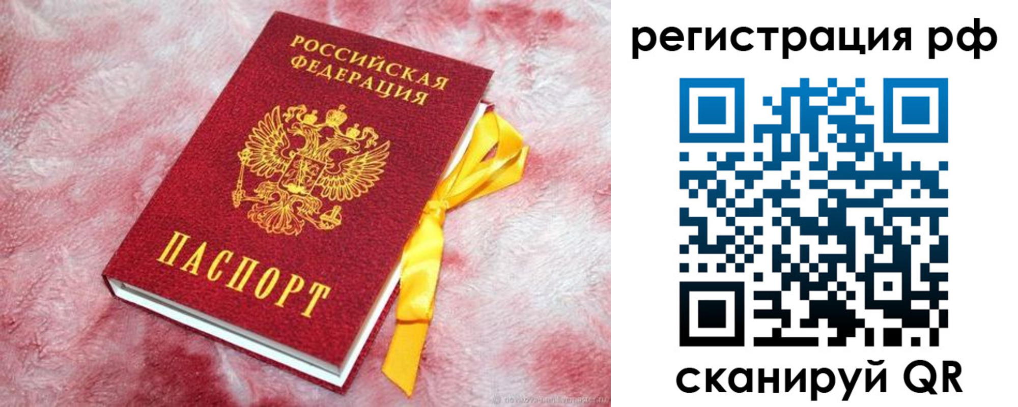 прописка в Чайковском